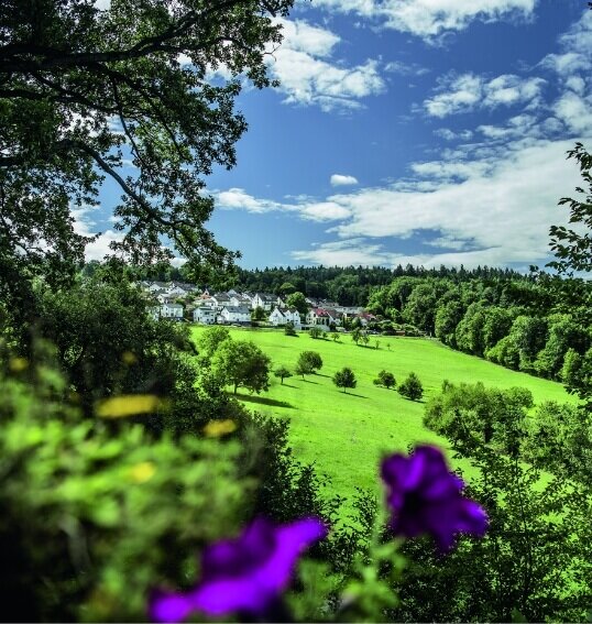 Albtherme Landschaft